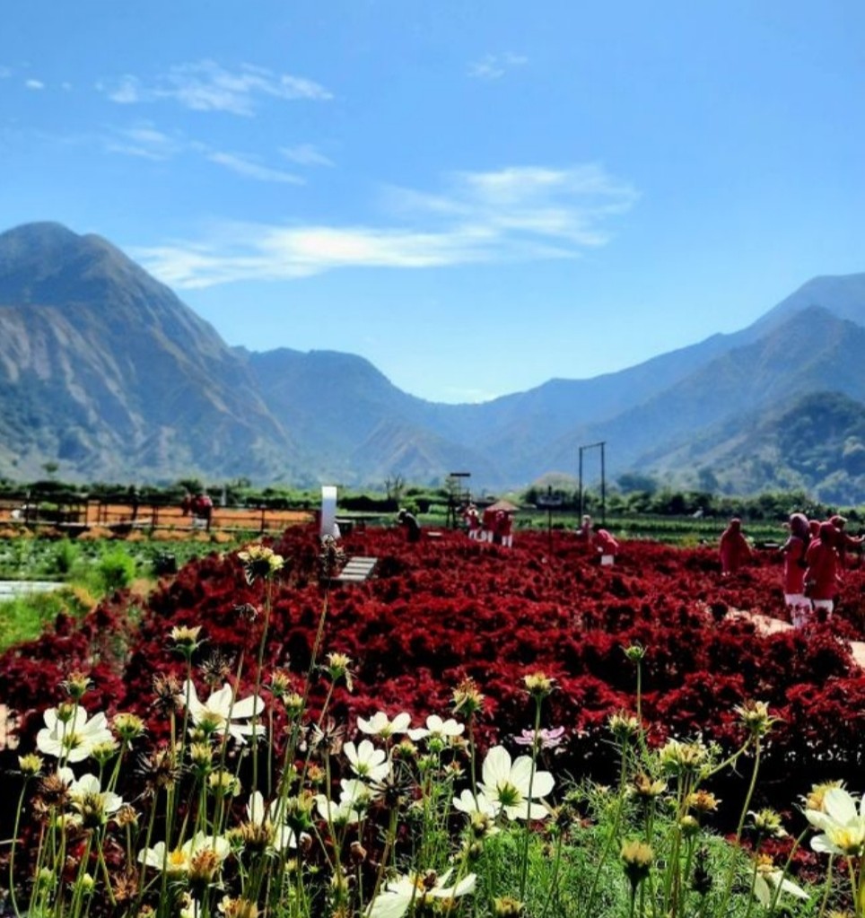 Trip Wisata Sembalun